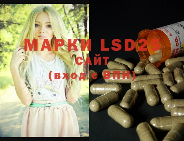 spice Володарск