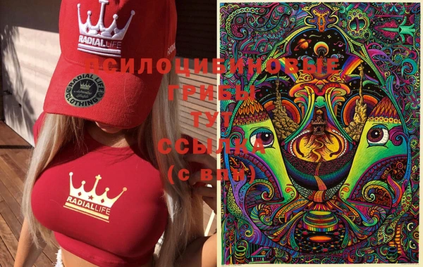 молекула духа Волоколамск