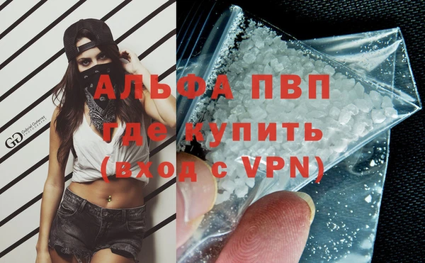 молекула духа Волоколамск