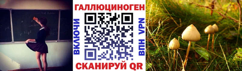 Галлюциногенные грибы Magic Shrooms  Нея 